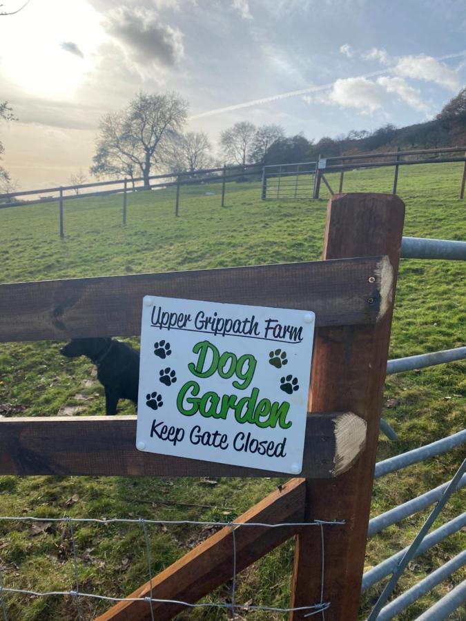 Upper Grippath Farm Holiday Cottages ニューポート エクステリア 写真